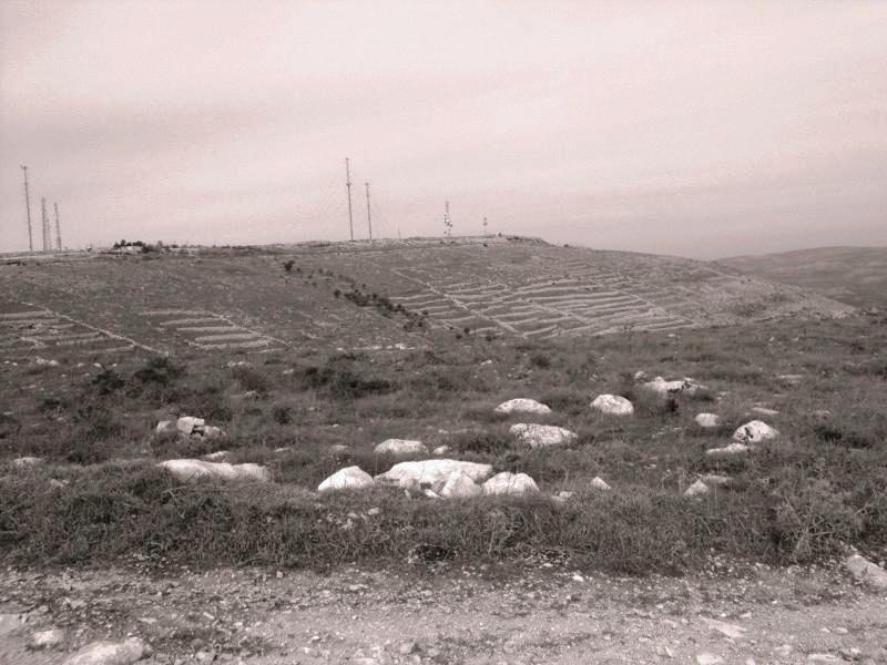 קובץ:Mount Ebal 456.jpg
