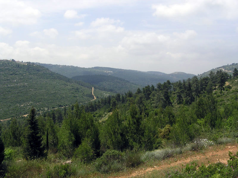 קובץ:JerusalemMountainsB.jpg