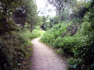 קובץ:Newtonhollows.jpg