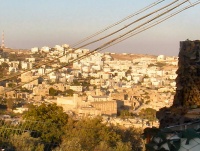 חברון 2008 צילם:בית השלום