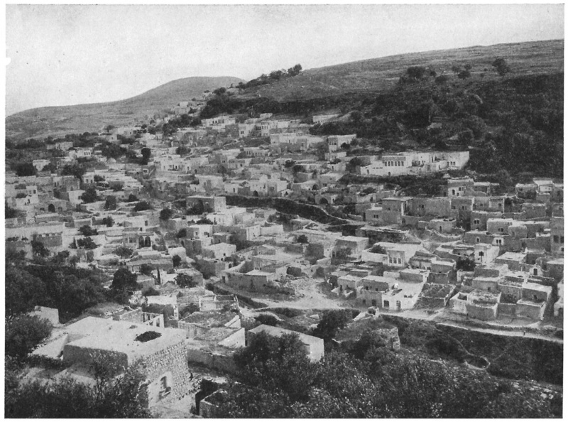 קובץ:Safed1908.jpg
